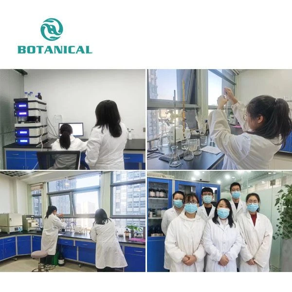 Rhodiola Rosea Extract Powder